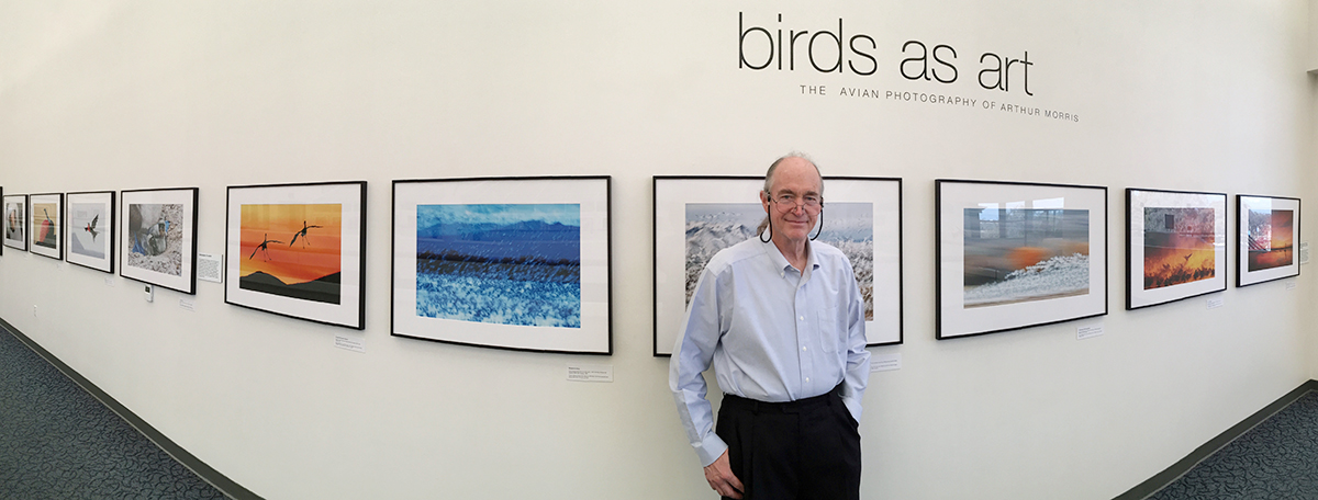 birds as art: The Avian Photography of Arthur Morris/The Top 100 | Bird ...